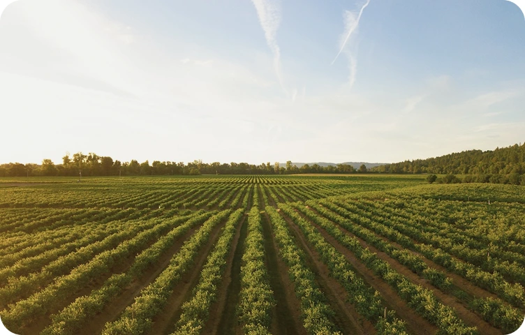 Good practice guide for sustainable development in agriculture